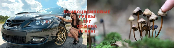 соль ск Алзамай