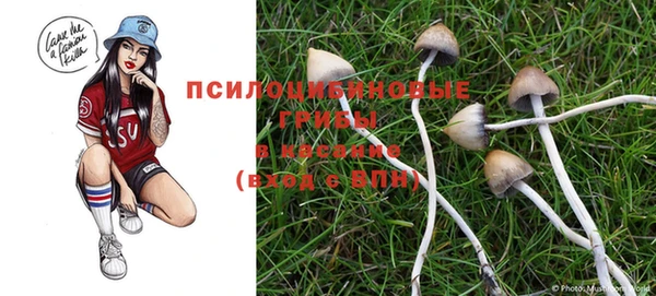 амфетамин Алексеевка