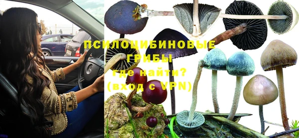 ГАЛЛЮЦИНОГЕННЫЕ ГРИБЫ Алексин