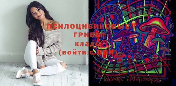 соль ск Алзамай