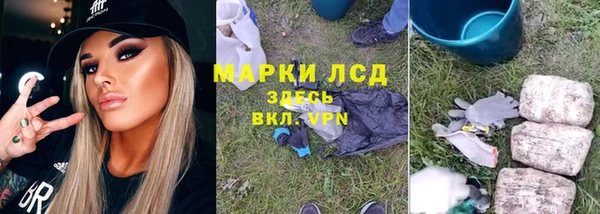 ГАЛЛЮЦИНОГЕННЫЕ ГРИБЫ Алексин