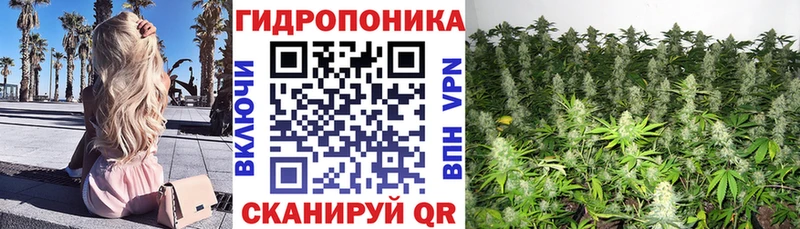 Купить  Кунгур  Шишки марихуана OG Kush 